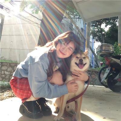 探案新窍门 第三季